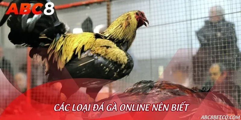 Các loại thường gặp trong cá cược chọi gà