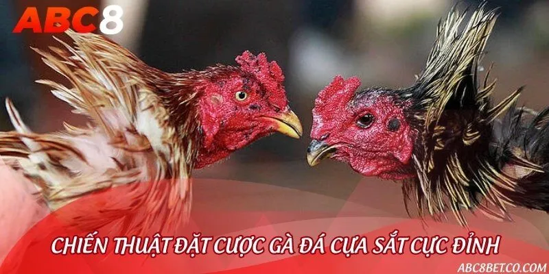 Những chiến kê siêu mạnh thường thấy trong đá gà