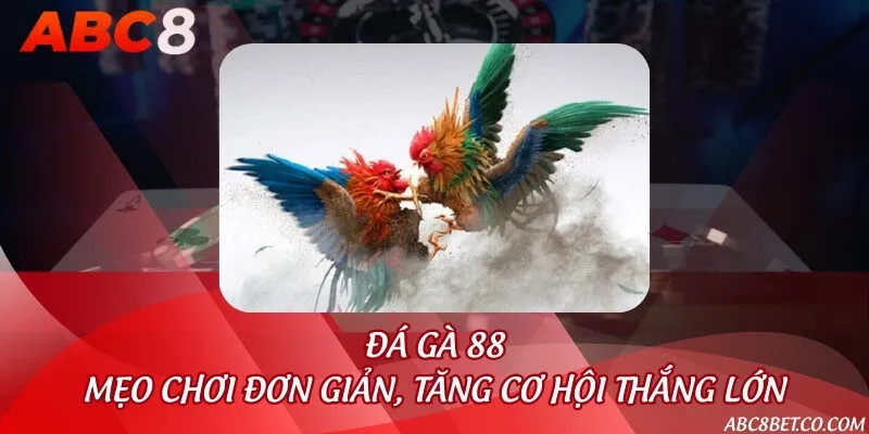Đá gà 88 - Mẹo chơi đơn giản, tăng cơ hội thắng lớn