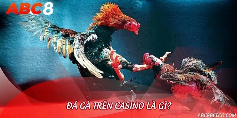 Những ưu điểm được đánh giá rất cao của hình thức đá gà casino
