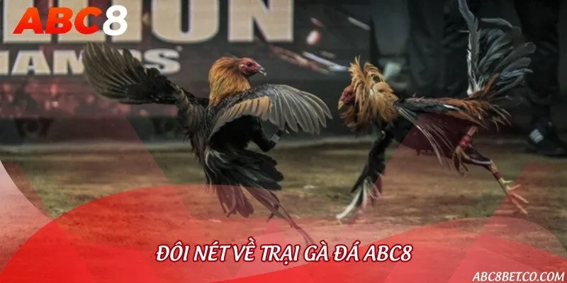 Giới thiệu tổng quan sân chơi đặc sắc tại nhà cái