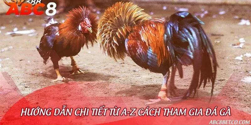 Hướng dẫn đơn giản, dễ thực hiện tại đá gà 88
