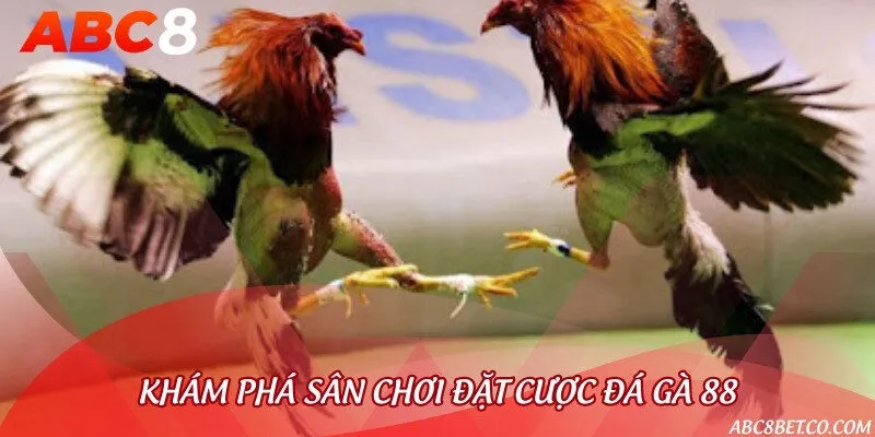 Đá gà 88 là sân chơi đặt cược chọi gà trực tuyến uy tín số 1
