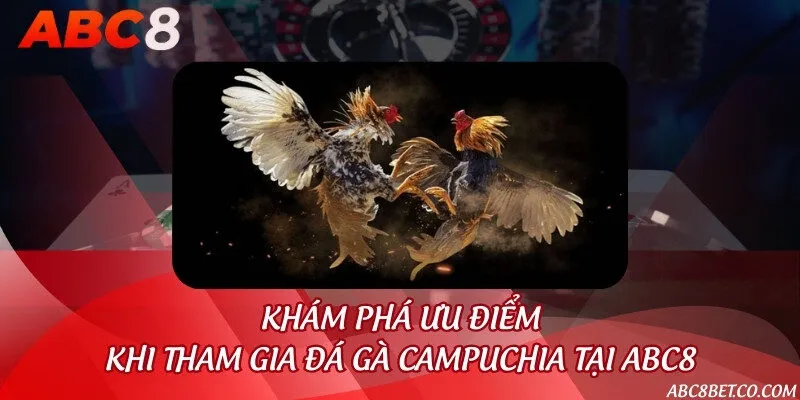 Khám phá ưu điểm khi tham gia đá gà Campuchia tại ABC8