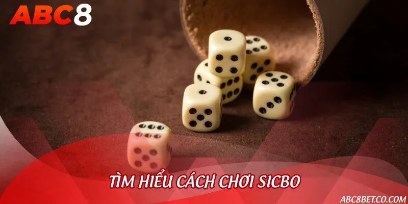 Quy tắc đặt cược Sicbo trực tuyến cơ bản