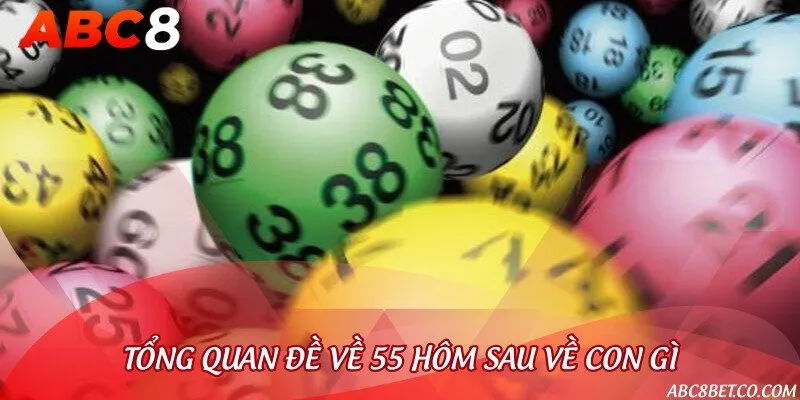 Giới thiệu về những con số trong bộ đề 55