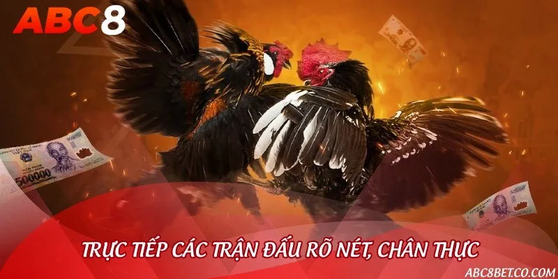 3 phương thức đá gà hay nhất nhà cái