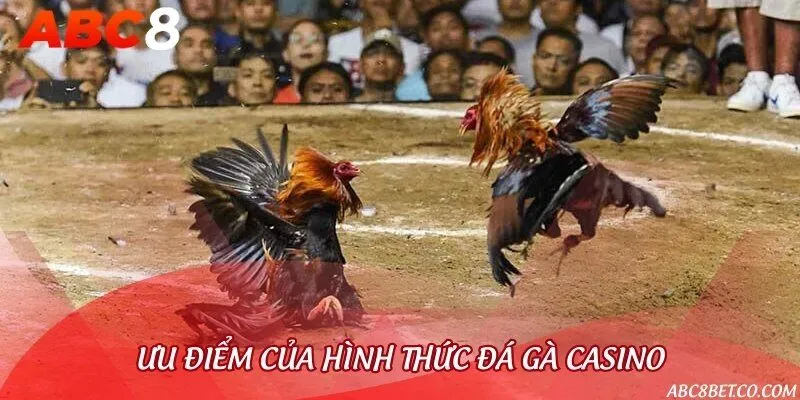 Đá gà casino là xu hướng chơi đặt cược đá gà thời đại mới