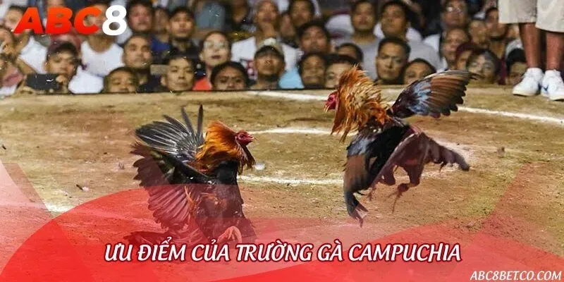 Ưu điểm khi tham gia đặt cược đá gà trực tuyến