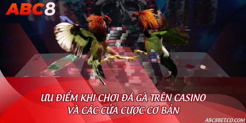 Ưu điểm khi chơi đá gà trên casino và các cửa cược cơ bản