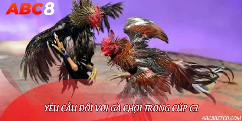 Yêu cầu về thể trạng gà khi tham gia cúp C1